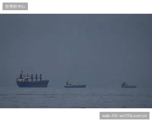 伊朗队面临人才断层危机,年轻球员尚无法在高强度比赛中担纲。 伊朗队面临人才断层危机,年轻球员尚无法在高强度比赛中担纲。